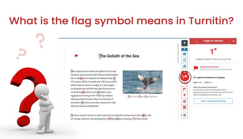 flag symbol means, flag symbol Plagiarism,